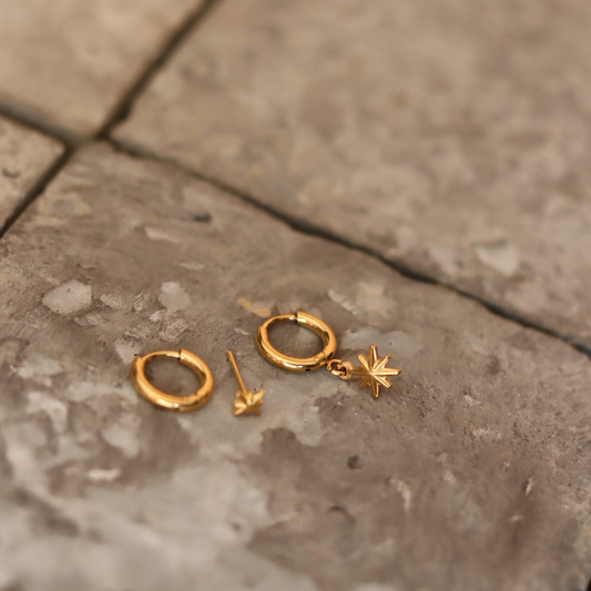 STAINLESS STEEL EARRING : 038