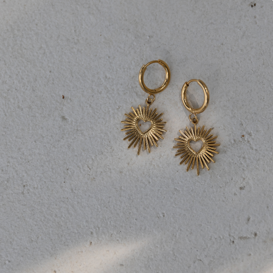 STAINLESS STEEL EARRING : 013