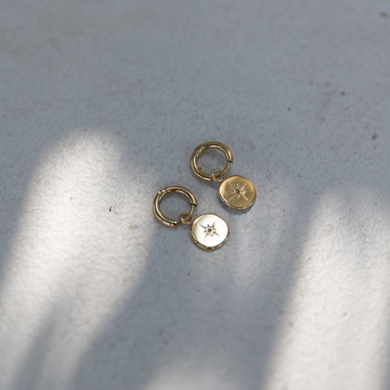 STAINLESS STEEL EARRING : 015