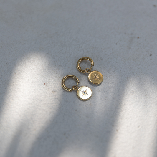 STAINLESS STEEL EARRING : 015