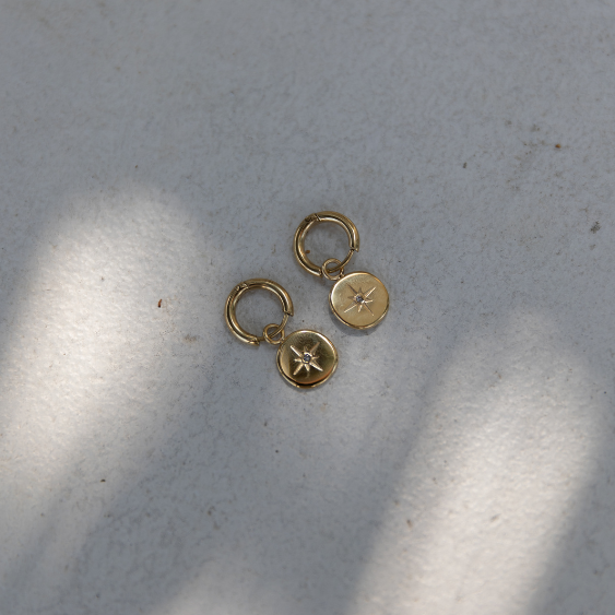 STAINLESS STEEL EARRING : 015