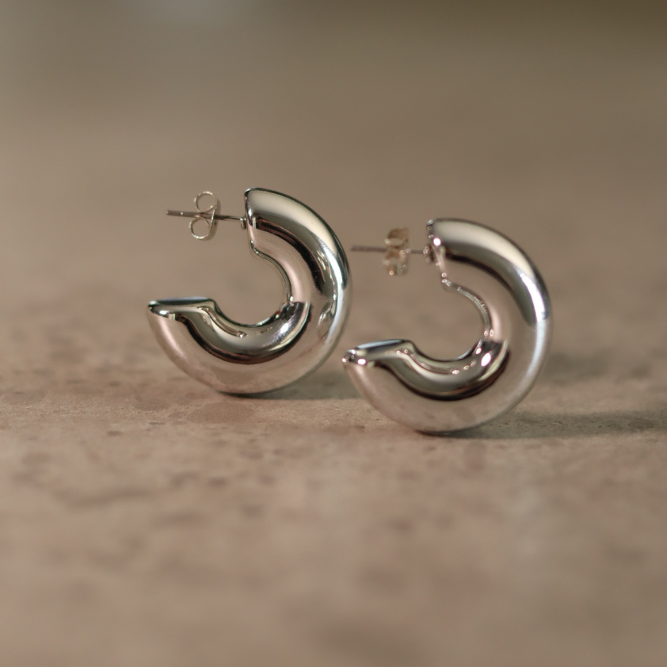 STAINLESS STEEL EARRING : 039