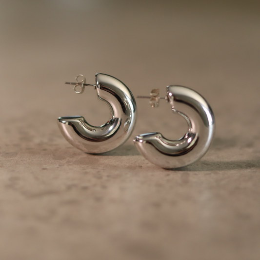 STAINLESS STEEL EARRING : 039