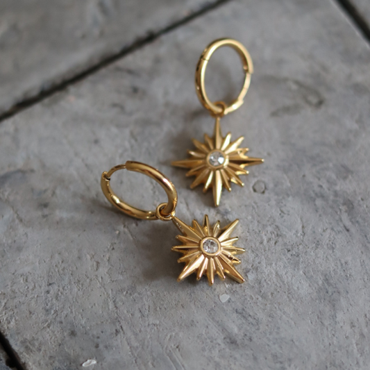 STAINLESS STEEL EARRING : 018