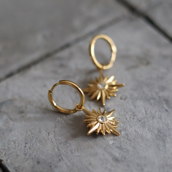 STAINLESS STEEL EARRING : 018