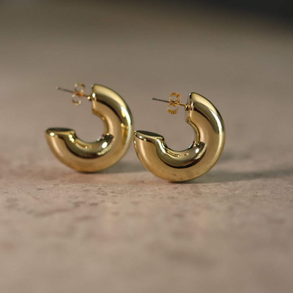 STAINLESS STEEL EARRING : 040