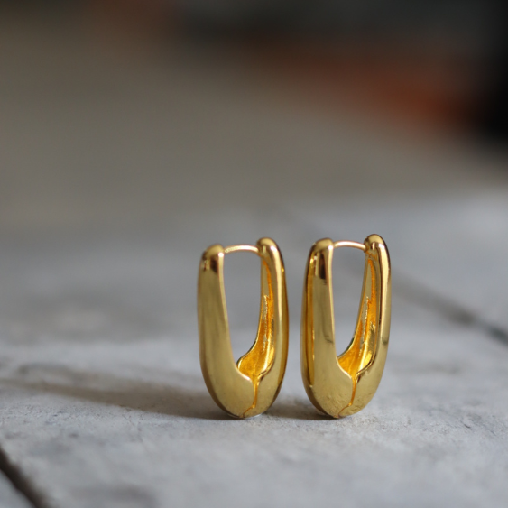 STAINLESS STEEL EARRING : 016