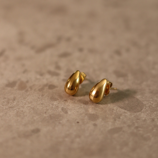 STAINLESS STEEL EARRING : 042