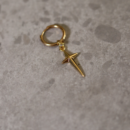 STAINLESS STEEL EARRING : 044