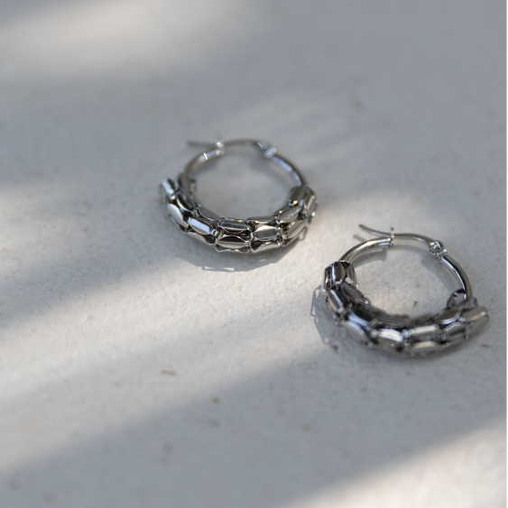 STAINLESS STEEL EARRING : 010