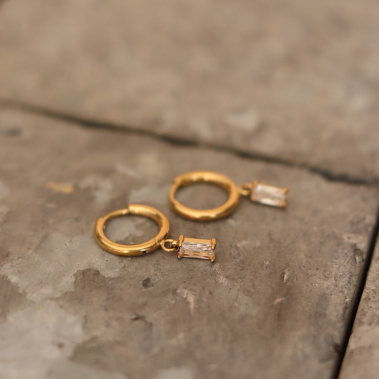 STAINLESS STEEL EARRING : 037