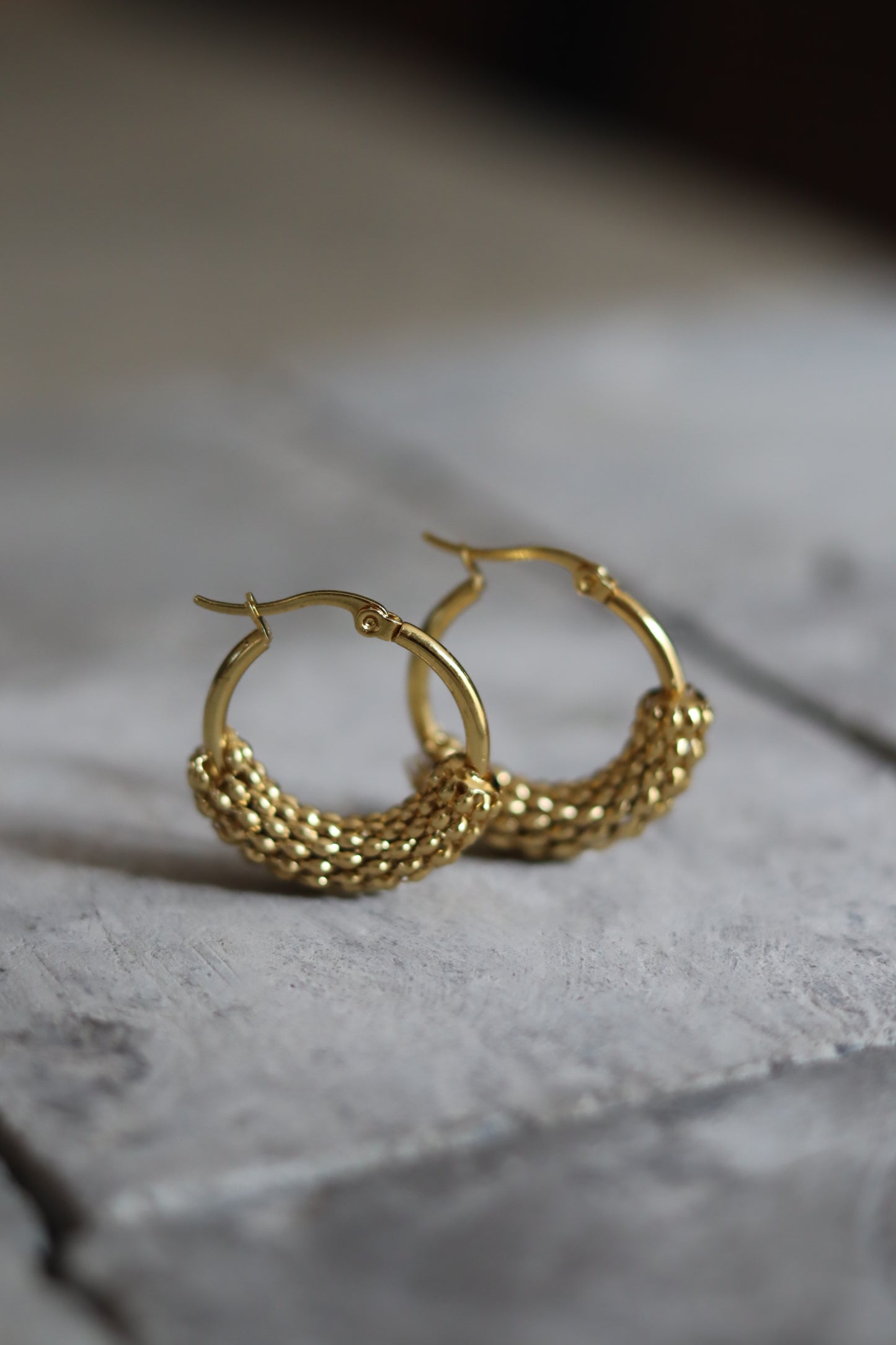STAINLESS STEEL EARRING : 030