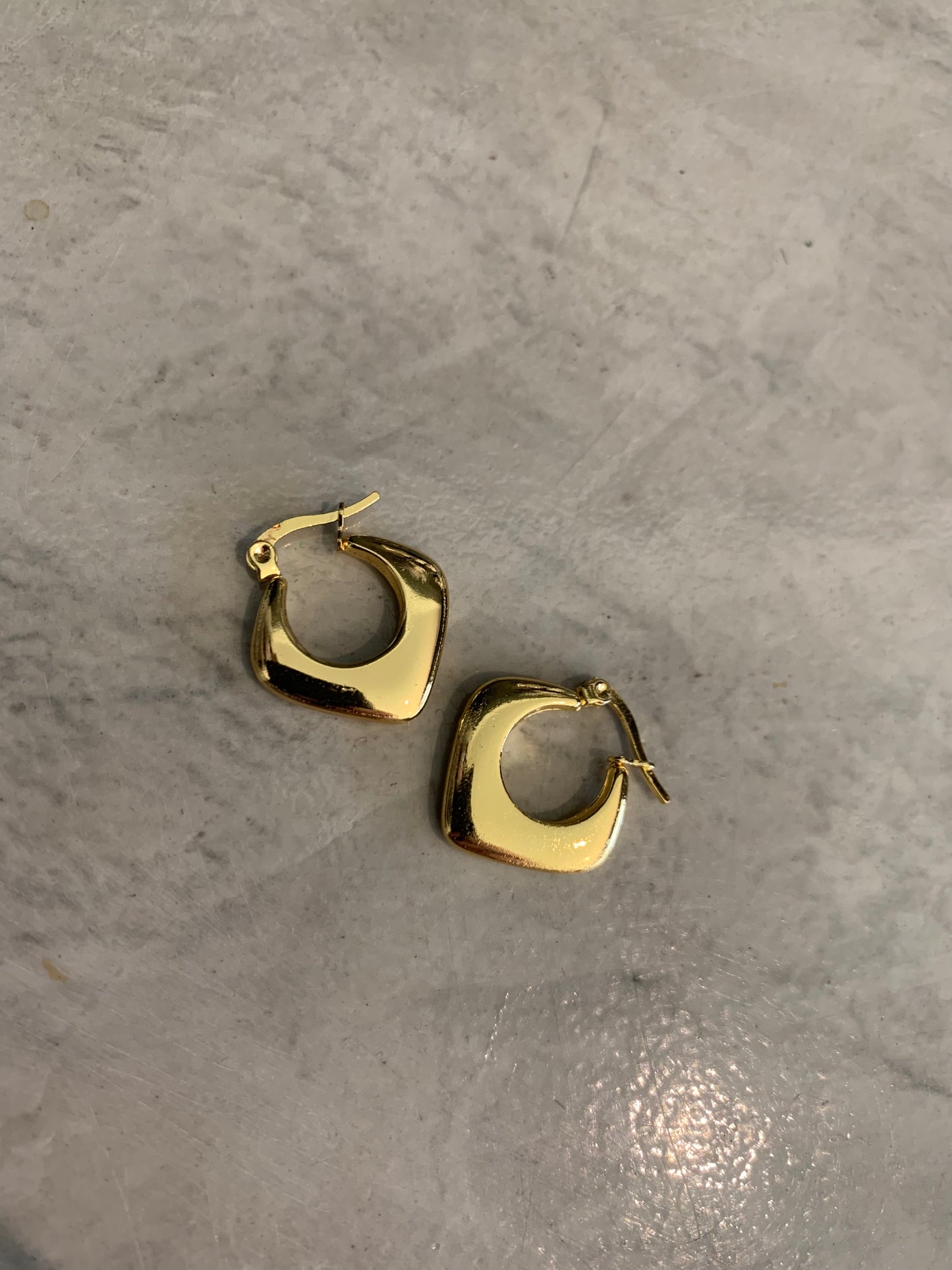 STAINLESS STEEL EARRING : 032