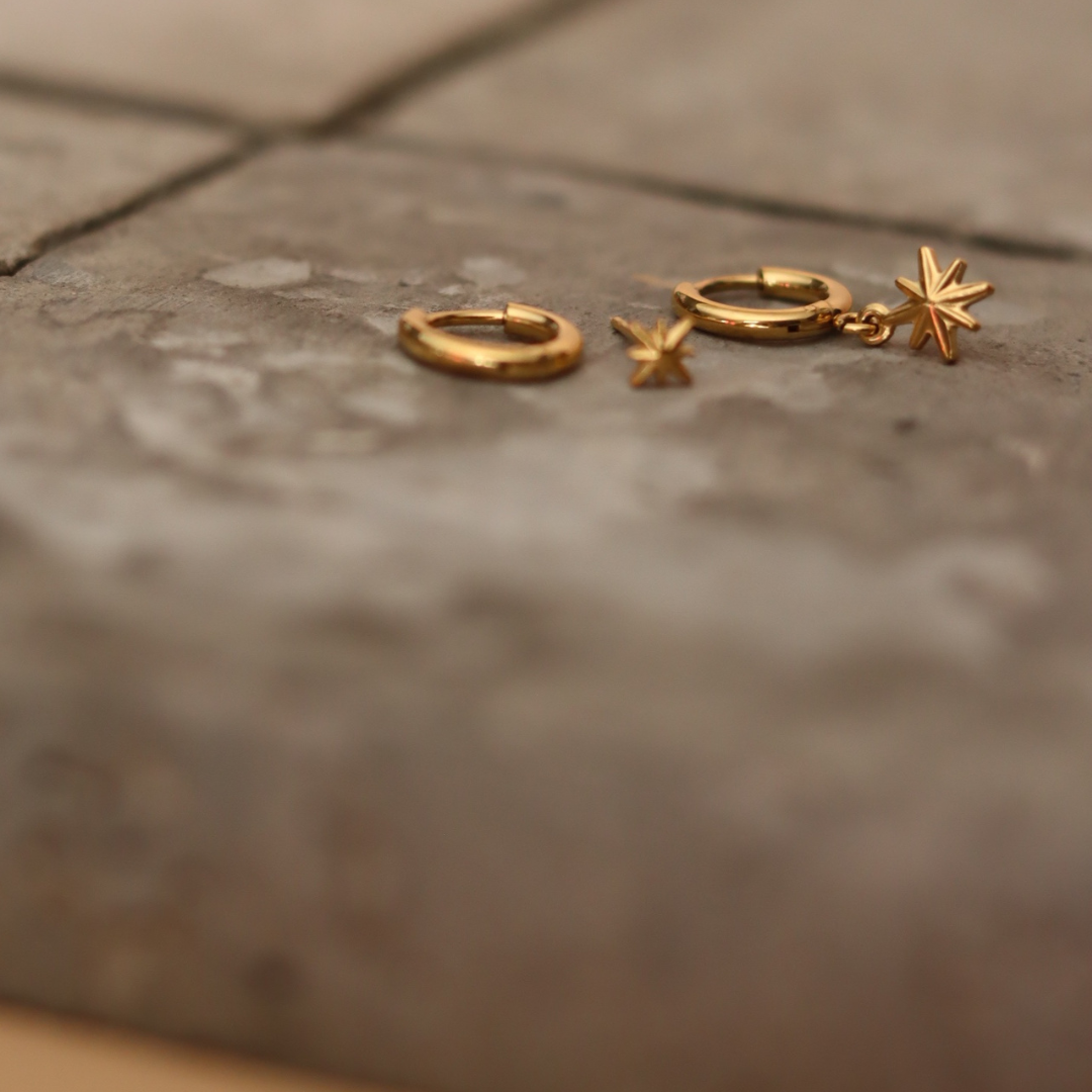 STAINLESS STEEL EARRING : 038