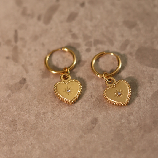 STAINLESS STEEL EARRING : 041