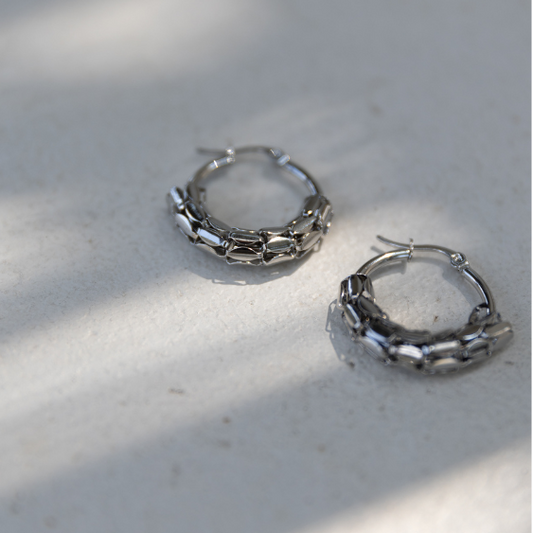 STAINLESS STEEL EARRING : 010