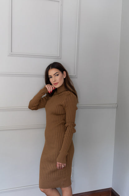 KNITTED: Polo Neck Dress